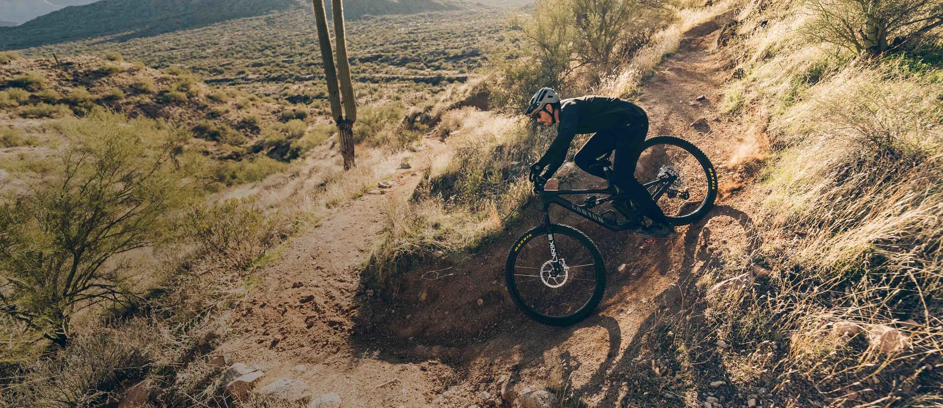 Canyon Spectral